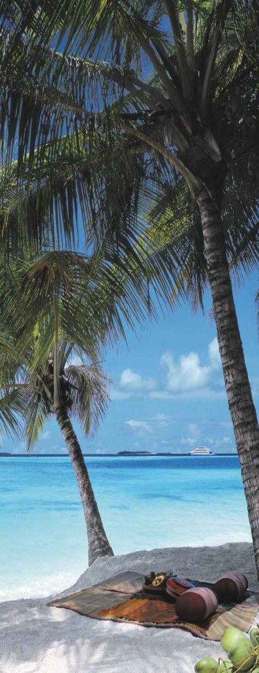 aldives.