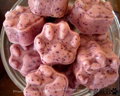 Excellent dog treat! Blueberries and banana frosty paws