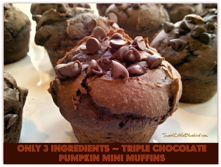 Sweet Little Bluebird: Only 3 Ingredients ~ Triple Chocolate Pumpkin Mini Muffins