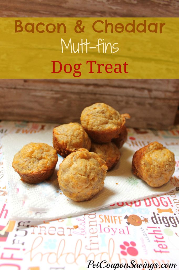 Bacon & Cheddar Mutt-fins