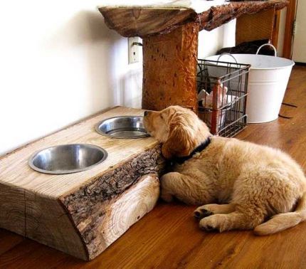 Insanely cute and creative dog bowls