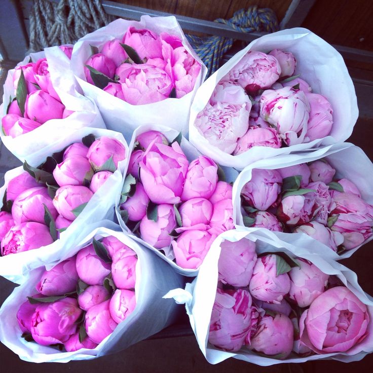 bright + peonies