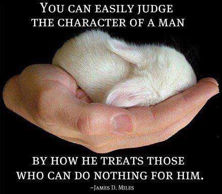 Be a good human