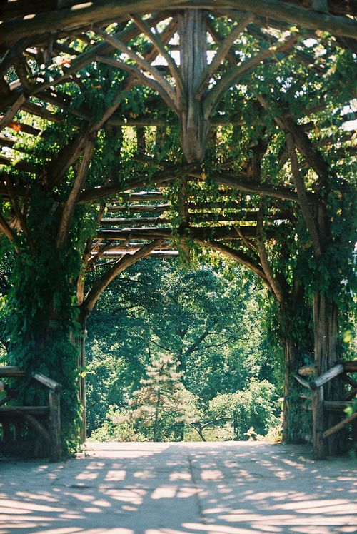 Central Park ~ New York City