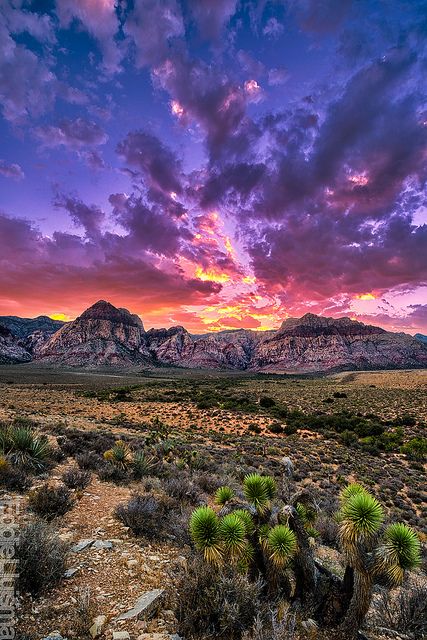 Red Rock Canyon, Nevada, USA, by Eddie 11uisma on Flickr.