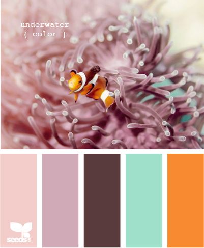 underwater color, except swap the light pink and purple for fuschia, and make the orange a darker poppy color.