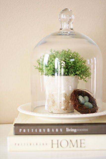 Do a table in natural and found things under glass - birds nests, moss, eggs, single blossom, etc.