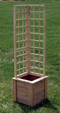 A small trellised planter perfect for patios and corner accents.This would be nice with morning glory!