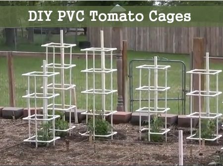 How To Build PVC Tomato Cages - Stronger more durable support for your tomato plants.