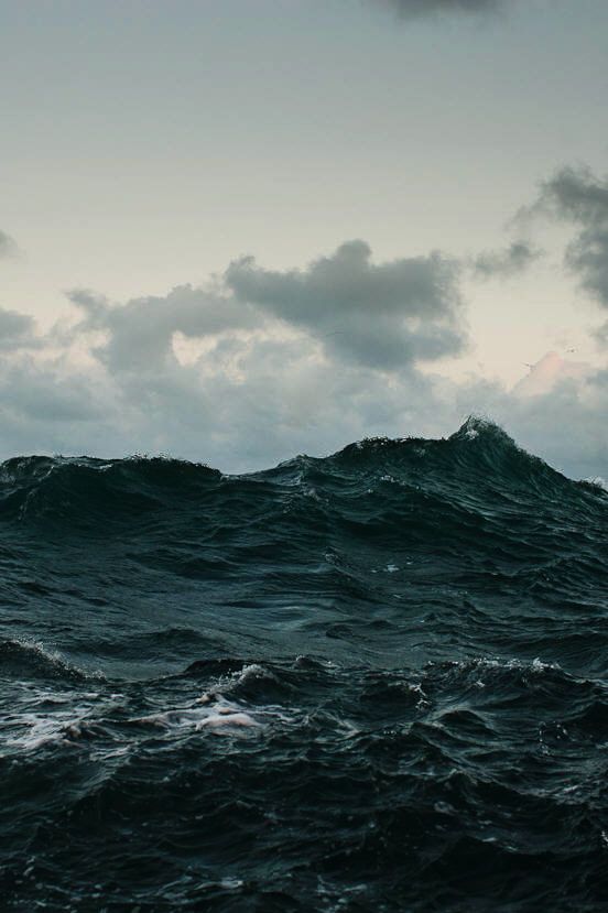For all is like an ocean, all flows and connects; touch it in one place and it echoes at the other end of the world. - Fyodor Dostoyevsky