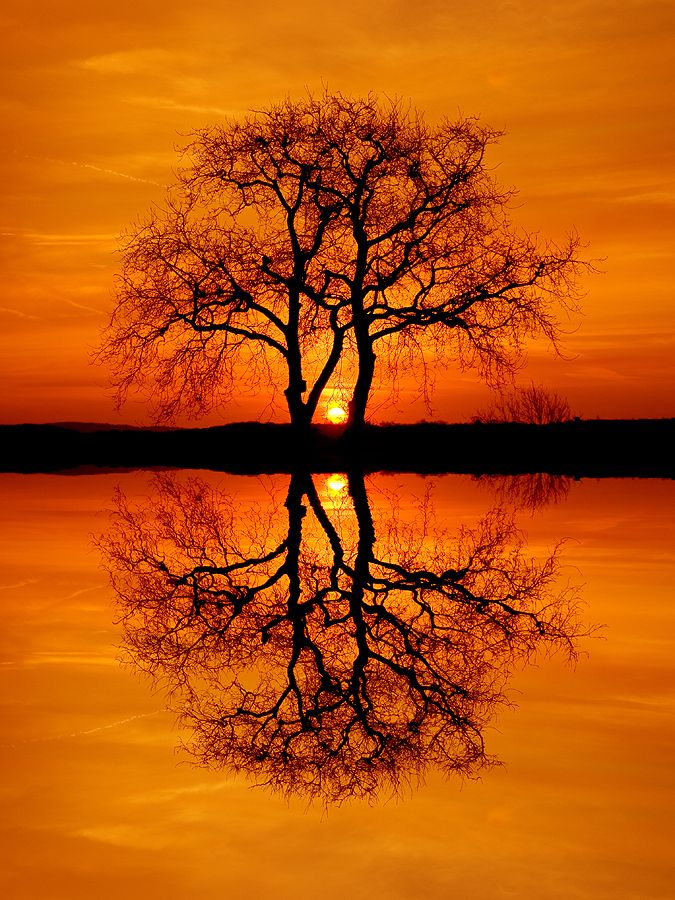 lovely solitude...I love photos of sunrises and sunsets...this one is exceptionally gorgeous