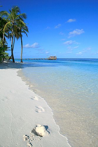 Beach Islamorada Florida Keys