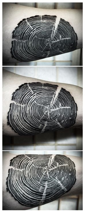 all the trees of the field: Gorgeous black tattoo of a cross section of a tree showing all the rings and cuts. Super detailed unique Nature Tattoo