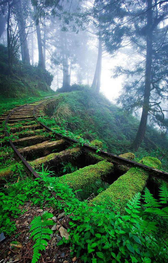 Abandoned railroad - Pittsburgh, Pennsylvania
