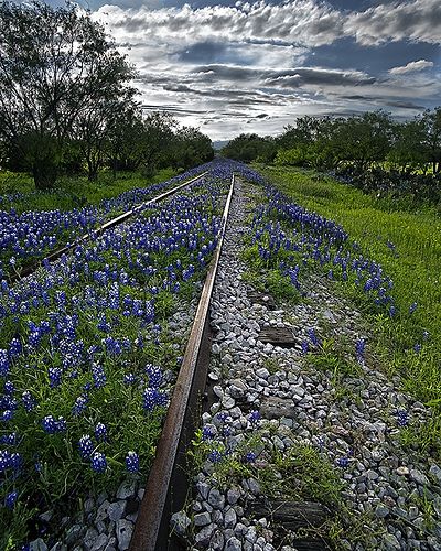 Sweet hill country of Texas