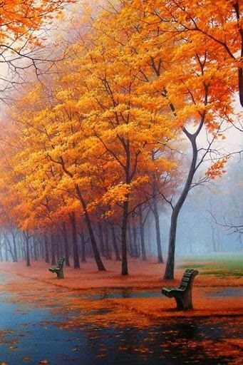 There is rhythm in the woods, and in the fields, Nature yields: And the harvest voices crying, Blend with Autumn zephyrs sighing; Tone and color, frost and fire, Wings the nocturne Nature plays upon her lyre. - William Stanley Braithwaite