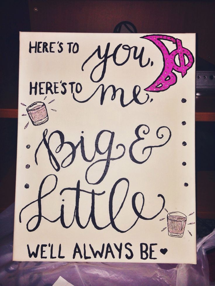 gamma phi beta | sorority sugar