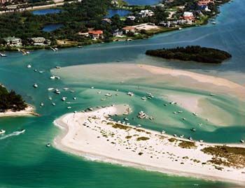 Shell Island, Florida Off St. Petersburg Beach Great for (what else?) shelling