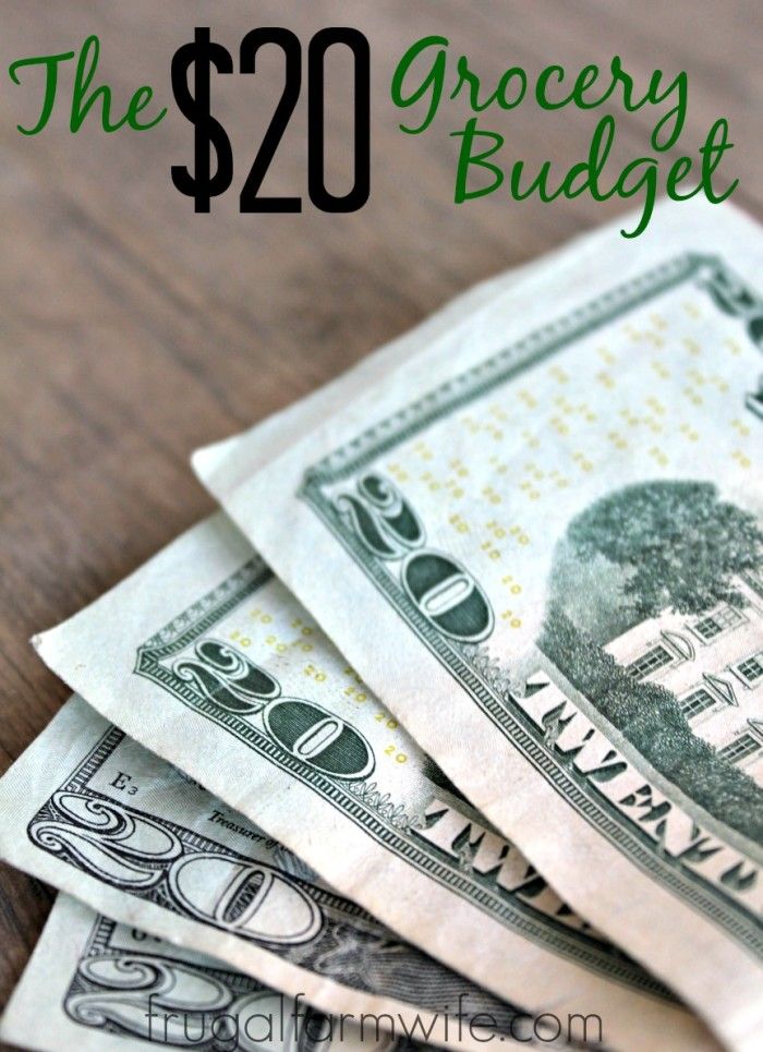 $20 A Week Budget