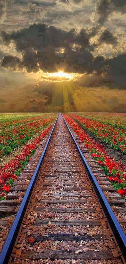 Romania