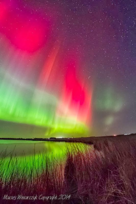 Northern lights over Caithness, Scotland. Photo by Maciej Winiarczyk. Life on a Small Island blog.