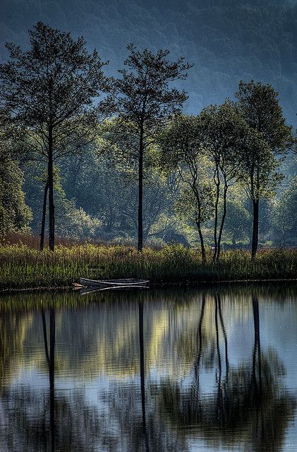 Loch Ard ~ Trossachs National Park of the Stirling district of Scotland.