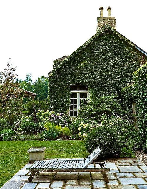 ivy covered #paved patio