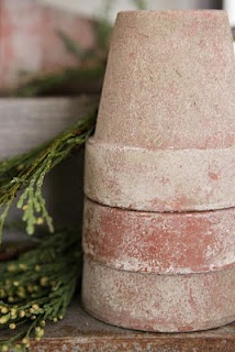 how to age terra cotta pots- scuff here n there w/snd paper, soak in water, place in lg container and smear w/buttermilk or yogurt. cover and put outside for a few days.