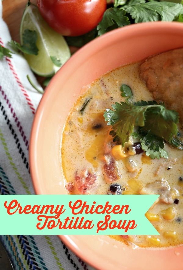 This creamy tortilla chicken soup will become your go-to recipe for leftover chicken and will become a favorite in your dinner rotations. It's easy and delicious! via lifeingrace
