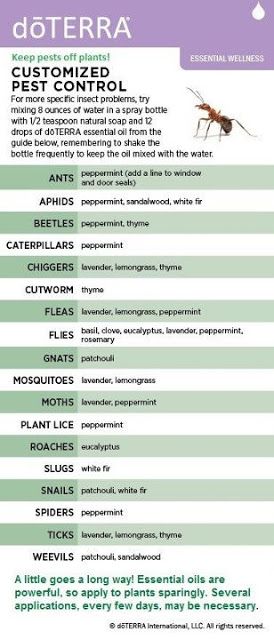 Radiant Health with doTERRA Essential Oils!: Natural Pest Control & Homemade Bug Spray