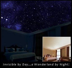 Starscapes: Glow in the Dark Ceiling Mural Invisible by day, Night Sky at dust...