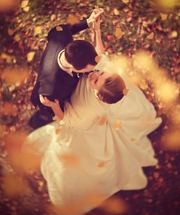 I Will Totally Climb Into a Tree for this Shot
