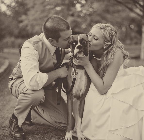 wedding-dog-ringbearer