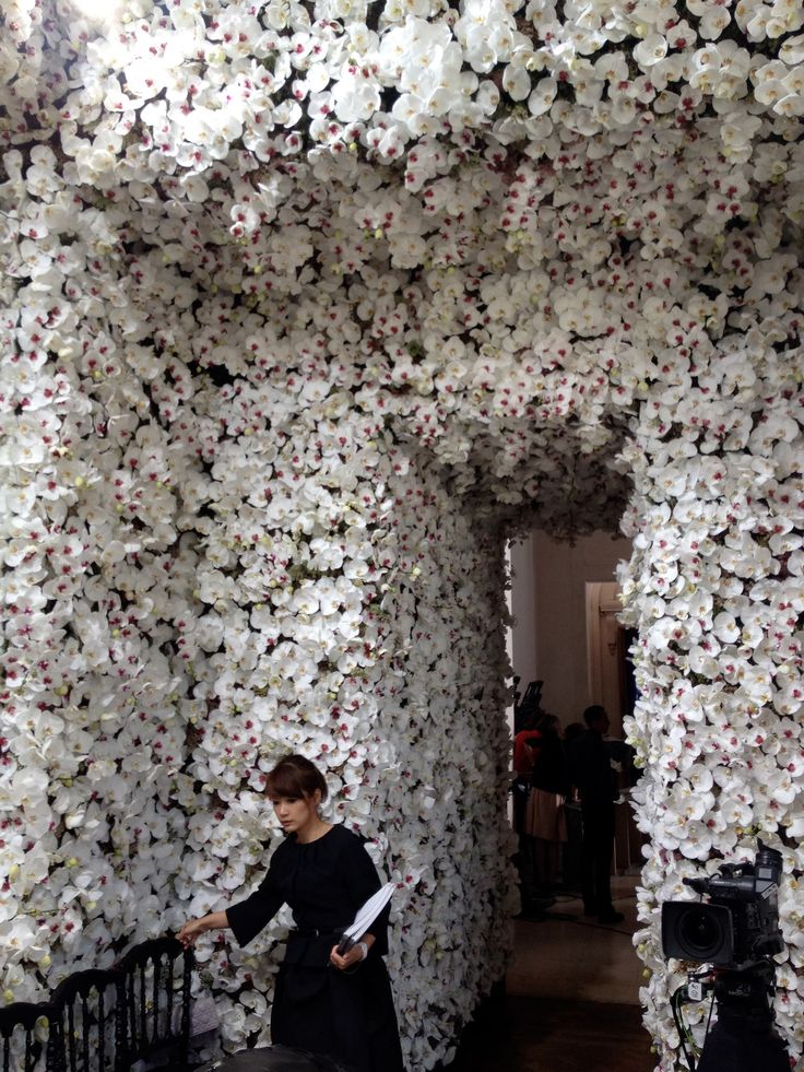 Wall of White Blooms