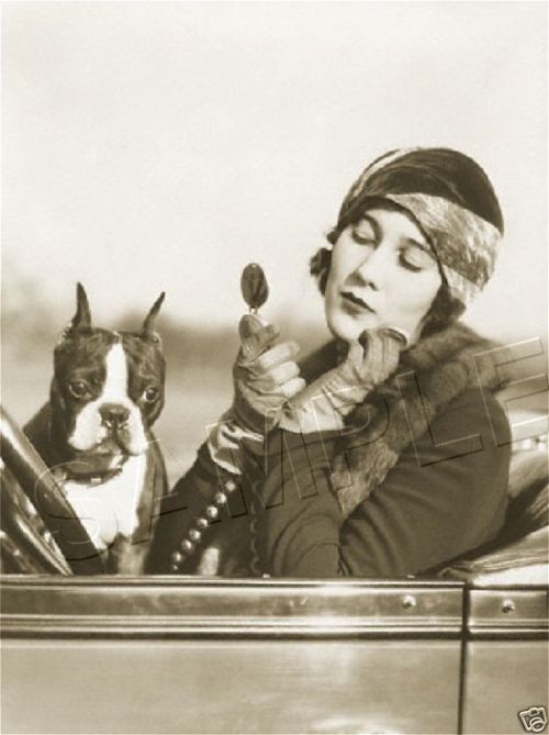 1920s woman in a car w/ Boston Terrier