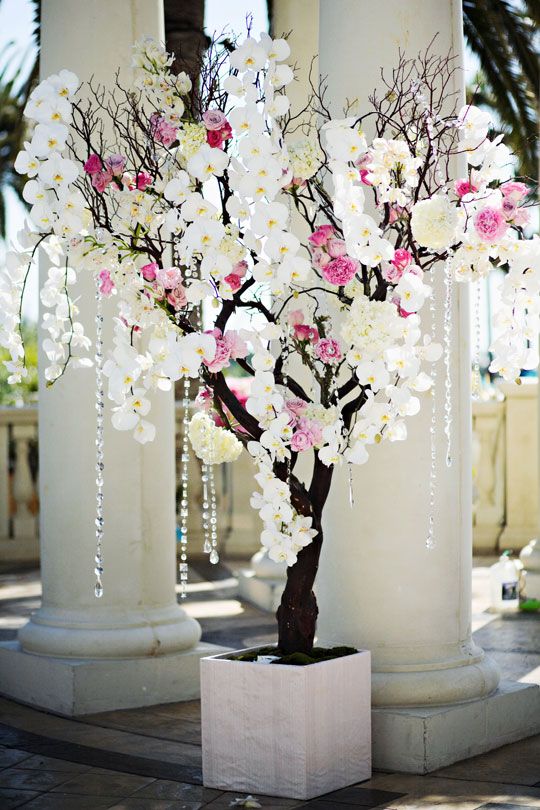 I'm liking the manzanita tree with white orchids for you.  Could add red roses too.  I think it could help bridge the gap between the beachy venue and the formal red and black color scheme.