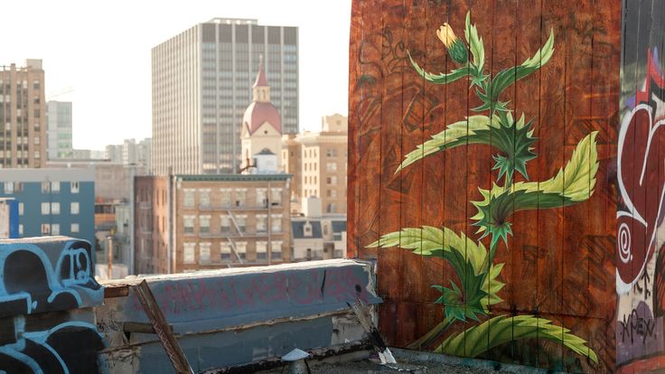 love this!... WEEDS  -  by mona caron                                                                                                                                                                                                                          