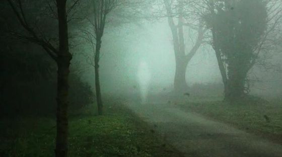 Guildford Ghost photograph remains one of the most convincing ghost pictures in history