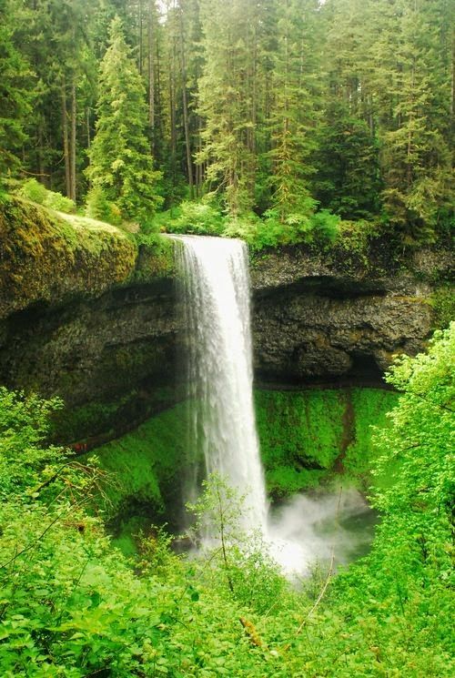 Silver Falls, Oregon