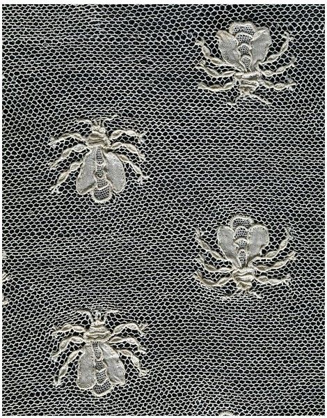 insects