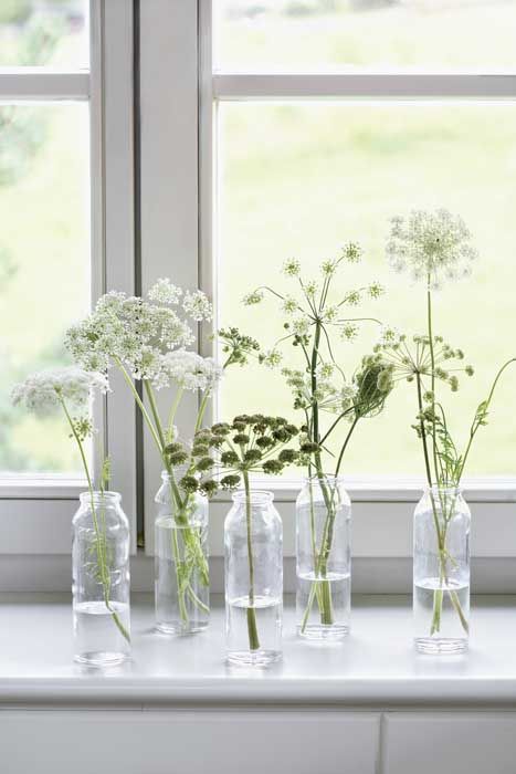 Nice little flowers in your window DS17