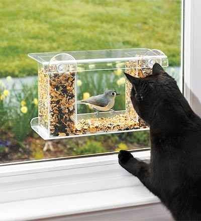 This window bird feeder which is like TV FOR YOUR CATS. | 23 Insanely Clever Products Every Cat Owner Will Want