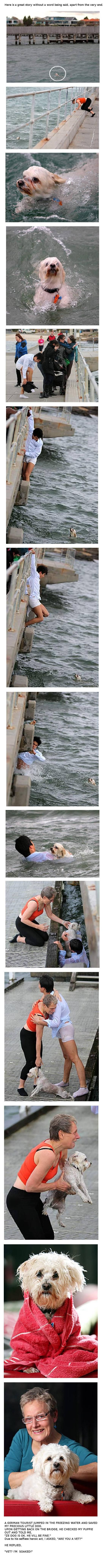 faith in humanity restored, once again