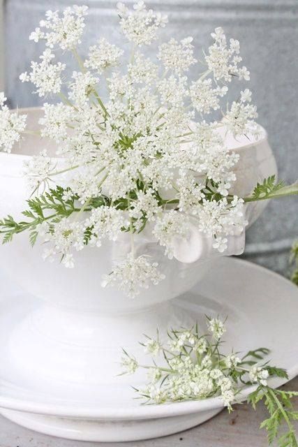 White decor