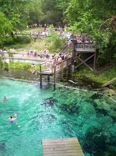 Lafayette Blue Springs State Park, FL. Float down a natural lazy river on a tube and swim with hundreds of friendly Manatees!