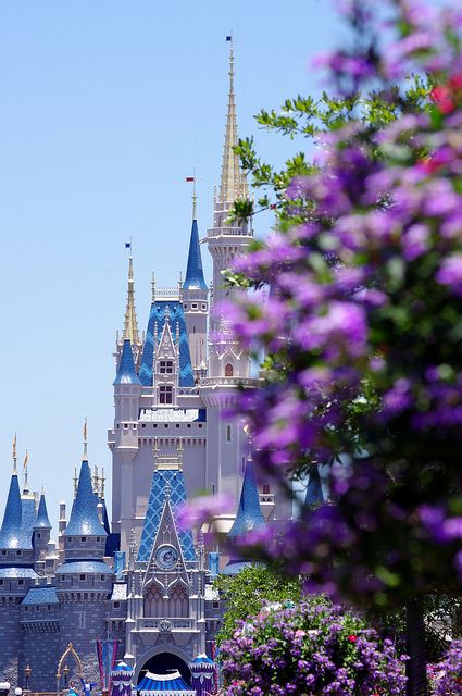 Cinderella's Castle (Magic Kingdom) with purple flowers!