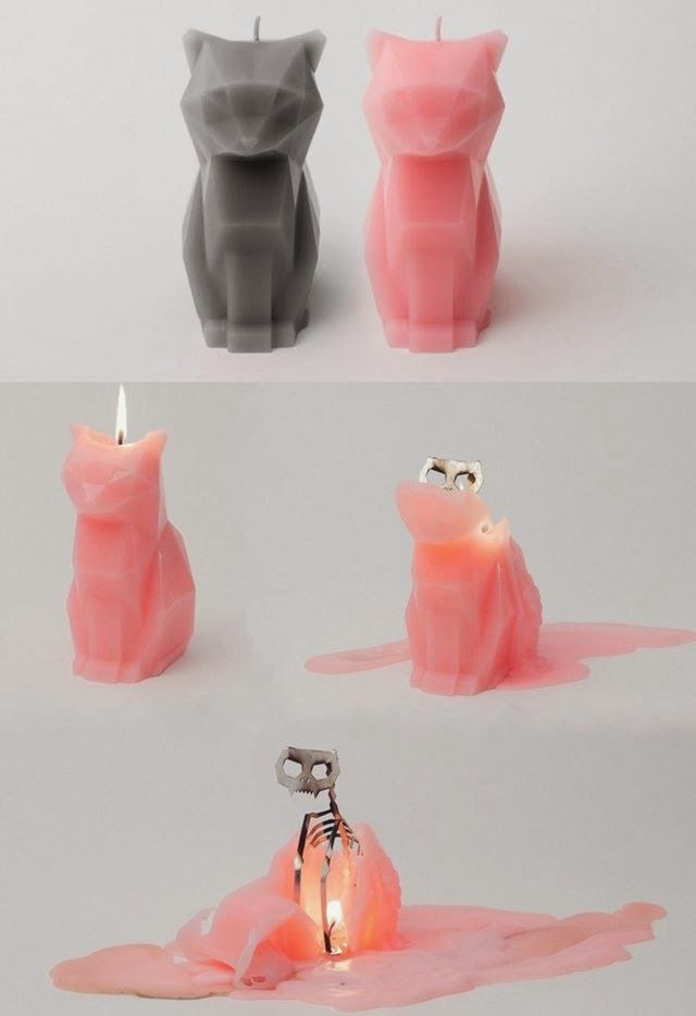 PyroPet. Possibly one of the coolest things I've ever seen