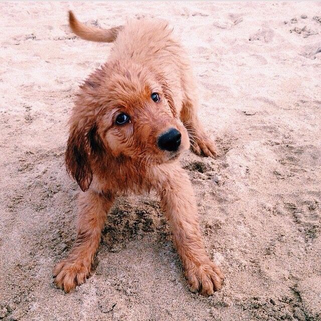 Did you say..swimming!?