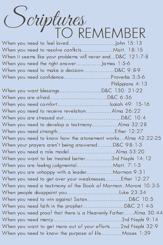 Scripture directory!