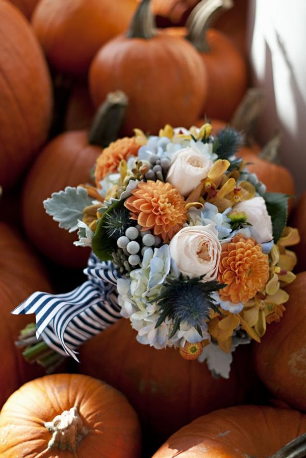 Gorgeous autumn colors